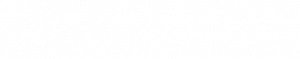 logo SCHILLER France white
